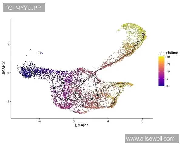 熊猫体育运动轨迹预测模型的构建与应用研究分析 熊猫体育运动轨迹预测模型的构建与应用研究分析